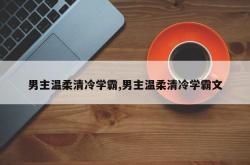 男主温柔清冷学霸,男主温柔清冷学霸文