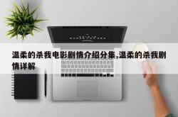 温柔的杀我电影剧情介绍分集,温柔的杀我剧情详解