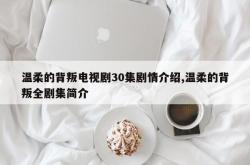 温柔的背叛电视剧30集剧情介绍,温柔的背叛全剧集简介