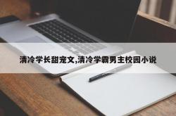 清冷学长甜宠文,清冷学霸男主校园小说